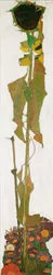 Sonnenblume